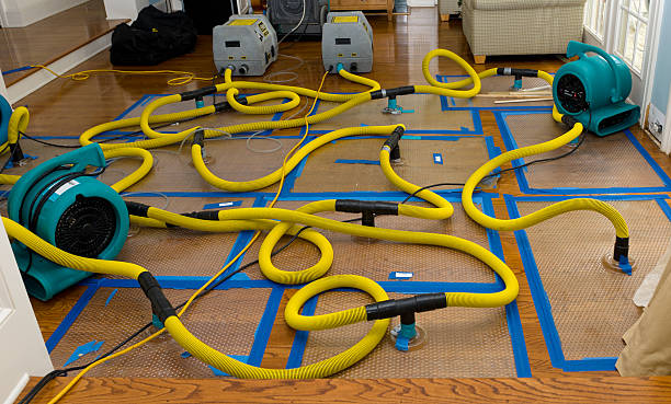 Professional Sewage Cleanup technician working in Ashland, AL